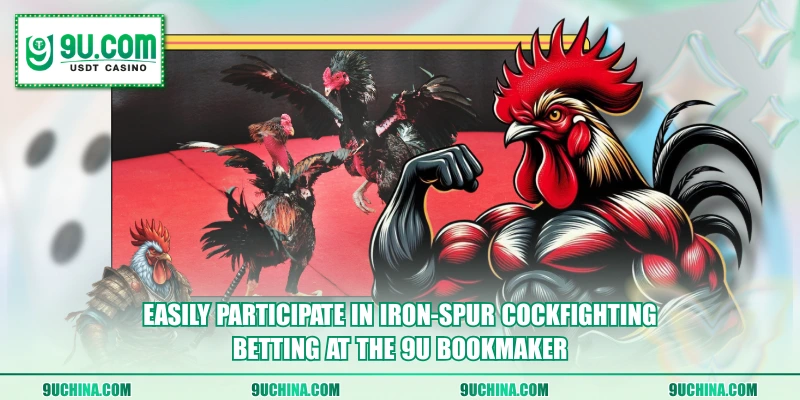 Easily participate in Iron-Spur Cockfighting betting at the 9U bookmaker