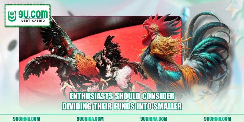 Enthusiasts should consider dividing their funds into smaller