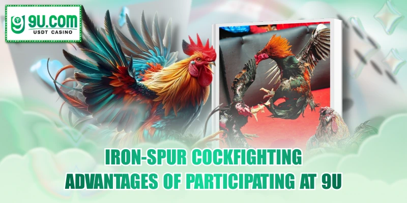 Iron-Spur Cockfighting