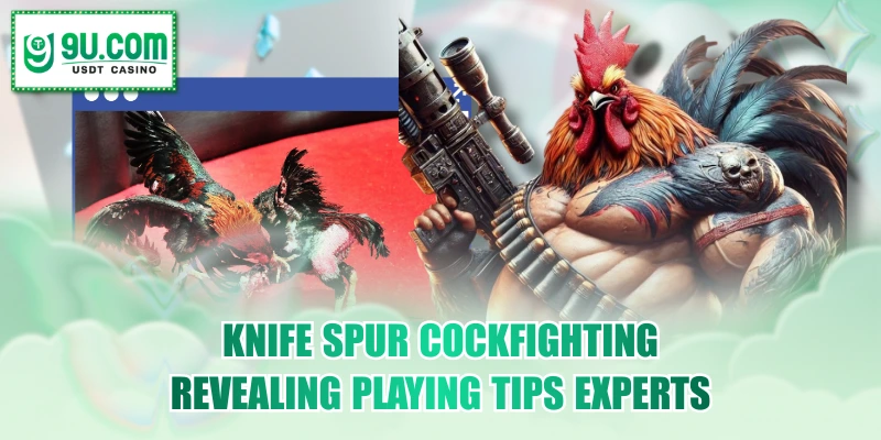 Knife Spur Cockfighting