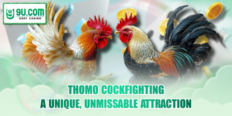 Thomo Cockfighting