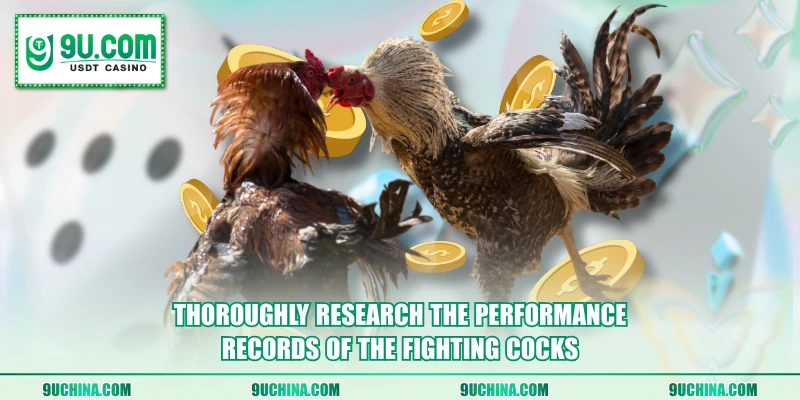Thoroughly research the performance records of the fighting cocks