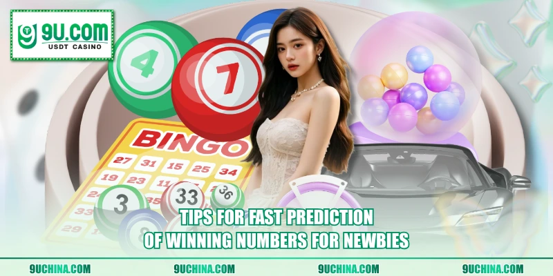 Tips for fast prediction of winning numbers for newbies